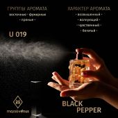U019 Mars&Venus Black Pepper парфюмированная вода 50ml